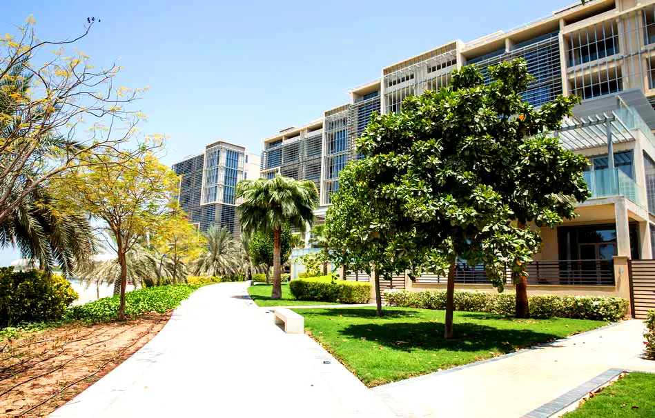 Al Zeina Project Gallery Neighborhood
